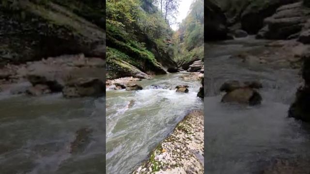 VID-20241019-WA0032.mp4