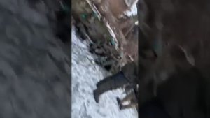 "великие воины украины"