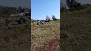 Обучаем рысаков,обучили в телегу лошадь