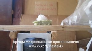 средство от жука древоточца Киров