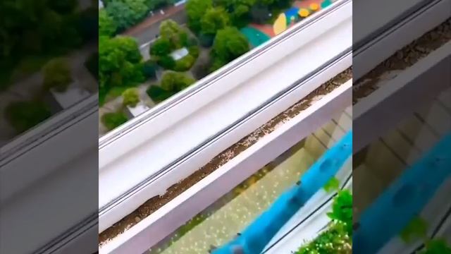 Кто очень любит уют и порядок! смотреть онлайн