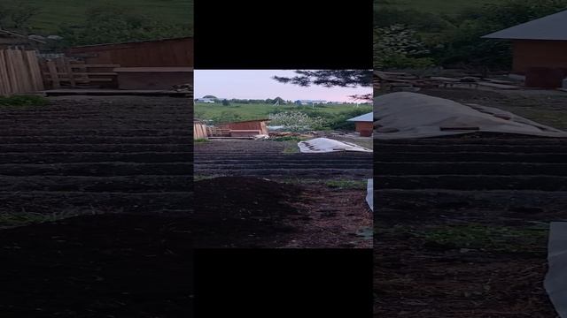 Любимый огород) смотреть онлайн