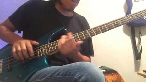 Red Hot Chili Peppers - Fight Like A Brave (bass cover)