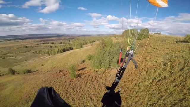 Чистая грива 2 смотреть онлайн