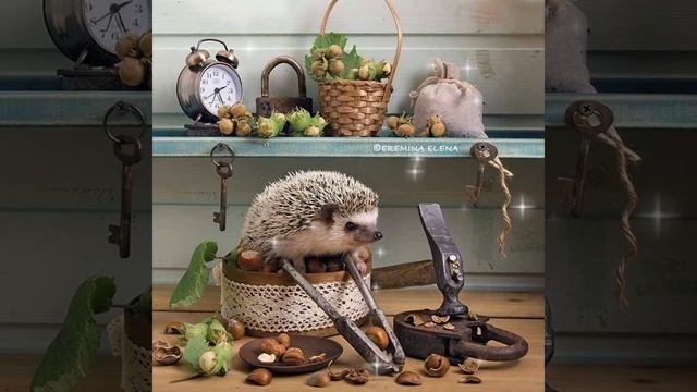 Норы смотреть онлайн