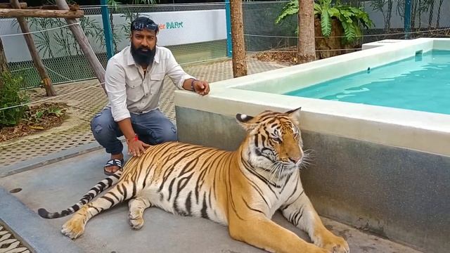 Bangkok Lo Tiger Park | Pareshan Boys | Pareshan family