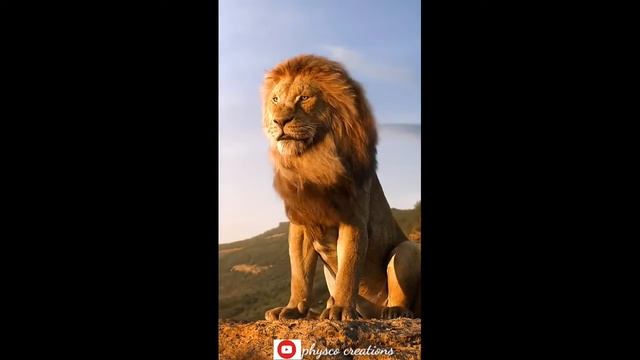 Always the king😎#single#whats app status#be brave like the lion king😎 смотреть онлайн