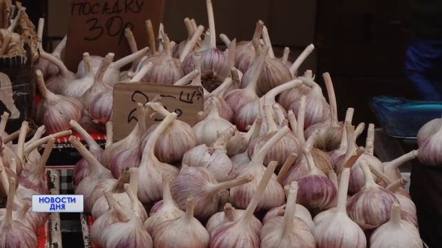 Борщ смотреть онлайн