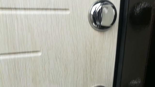 Дверь Титан Т110 Алтайская лиственница смотреть онлайн