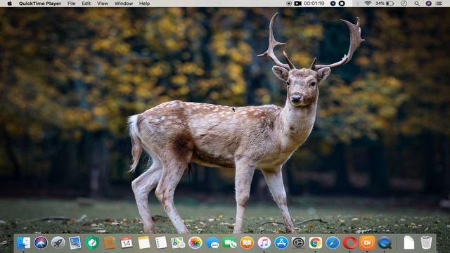 How to Record Screen Without Any Software on a Mac | Record Your Screen on Mac Without Any Software смотреть онлайн