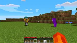 CADRES VIROU FOGO NO MINECRAFT