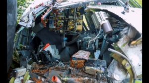 Путешествие мишки