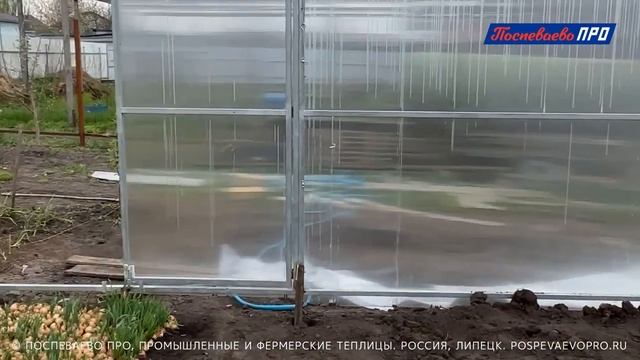 Краткий видеообзор арочной теплицы шириной 8 метров под один слой пленки.