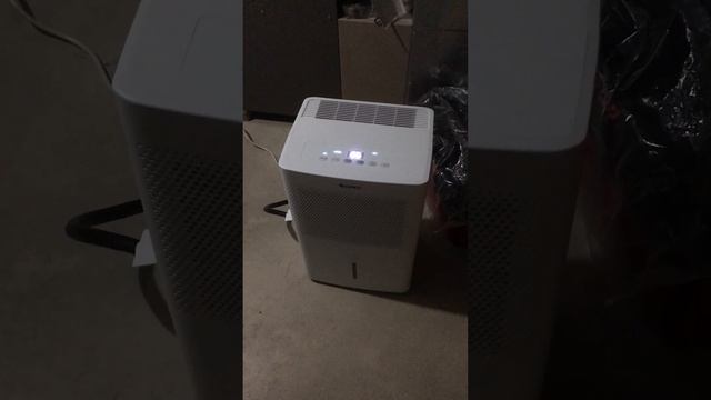 Dehumidifier for basement piped to drain test 1 смотреть онлайн