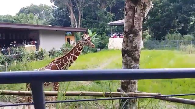 Cebu Safari Adventure Park - Rafa and Waki's Adventure