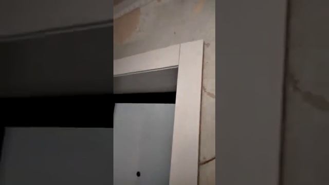 Вот так ставят двери. А сказать заказчику что, подготовте стены... смотреть онлайн