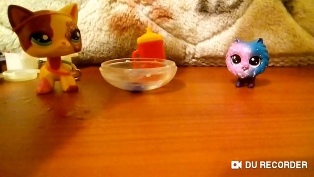 Злая кухня лпс #5 смотреть онлайн