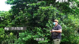 Abu Garcia ZoomSafari 復古5P槍柄溪流竿，平價L負重短竿新選擇 | 裝B的日子