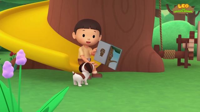 Maestros del Camuflaje Episodio Compilación (Español) - Leo, El Explorador | Animación - Familia смотреть онлайн