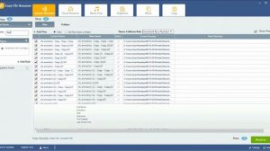 Renaming Graphics Files using Easy File Renamer