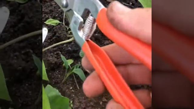 Видео о нас - мордовских деревенских дачниках смотреть онлайн