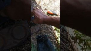 замена тормозных колодок передний мост Прадо 90