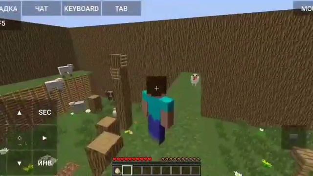 Что таится за этой деревянной дверью в паркуре в Minecraft? смотреть онлайн