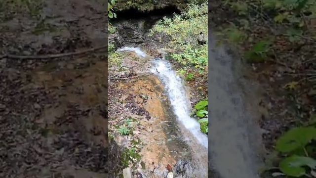 VID-20241019-WA0035.mp4