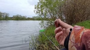 89 дней Без Улова. Арктическая тоскаМай.