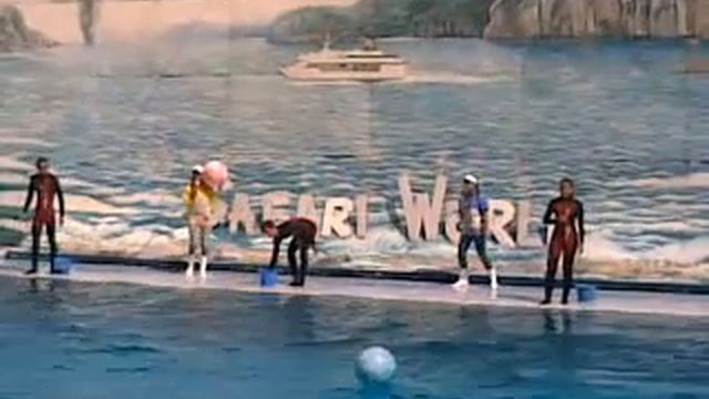 safari world thailand nov 2007 смотреть онлайн