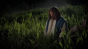 Молитва Иисуса в Гефсиманском саду/Моление о чаше в Гефсиманском саду/Предательство Иуды/Библия