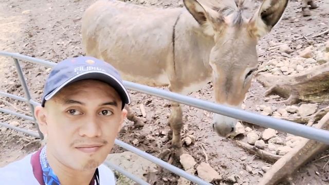 CEBU SAFARI | Adventure Park