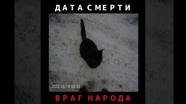 Свет Ночных Фонарей смотреть онлайн