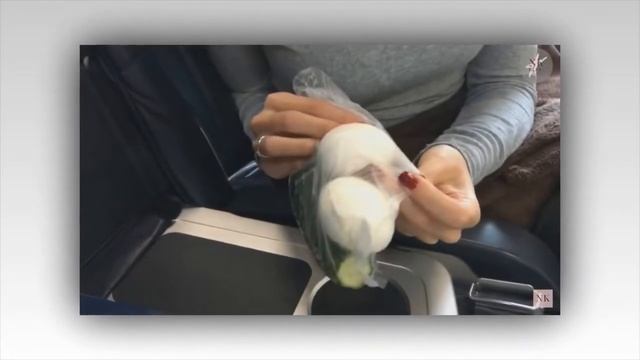 НАСТЯ КАМЕНСКИХ ТАЙНО ВЫШЛА ЗАМУЖ смотреть онлайн