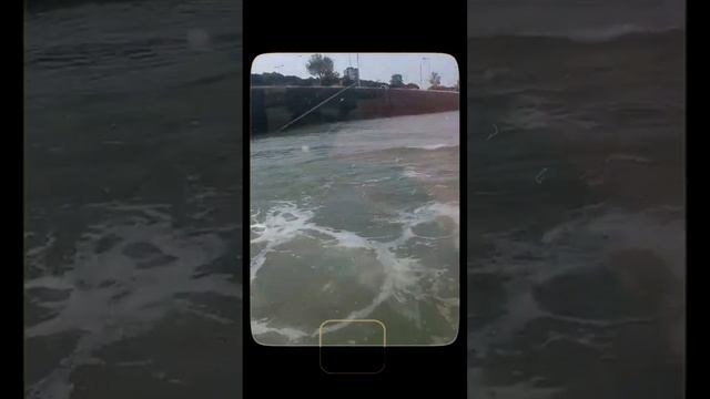 Весёлый Амстердам