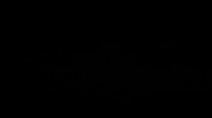 ОБРЯД И РИТУАЛ...В ЧЁМ ОТЛИЧИЕ...