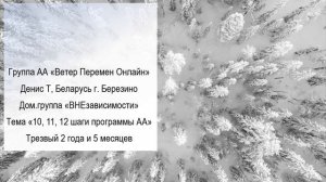 Денис Т, Беларусь г.Березино. долм. группа "ВНЕзависимости" Тема "10,11,12 шаги программы АА"