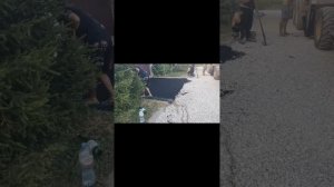 укладка асфальта д. Сосновка #2024