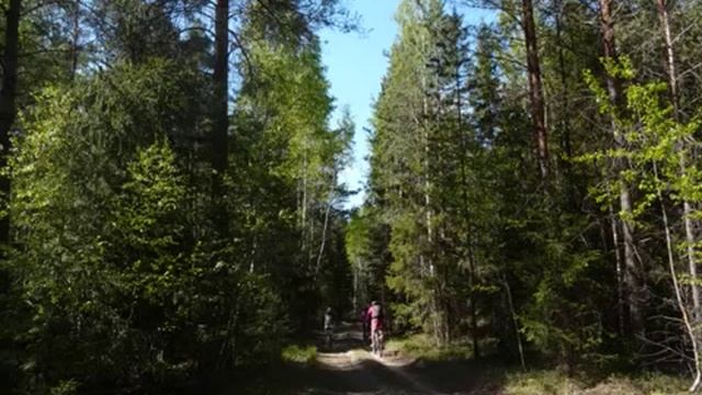 Земля Владимирская
