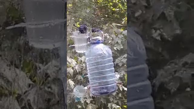 Купание синички 03 08 22 смотреть онлайн