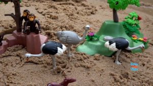 Safari Animals Playmobil Toys Watering Hole in the Sandbox - Learn Animals Names For Kids