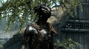 TES V Skyrim. Приключения аргонианина Бендер-бея №4.