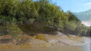 Crocodile Tour Airlie Beach : Proserpine Queensland Whitsundays