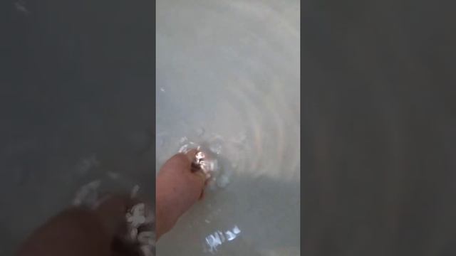 Алиса кидает бомбочку для ванны и показывает птичку смотреть онлайн