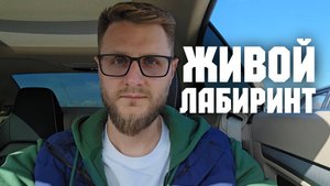 Как твой "мозг" тебя дурачит...