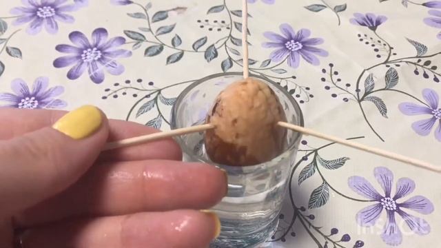 МАННИК/АВОКАДО/ВСЕ ПО АКЦИИ смотреть онлайн