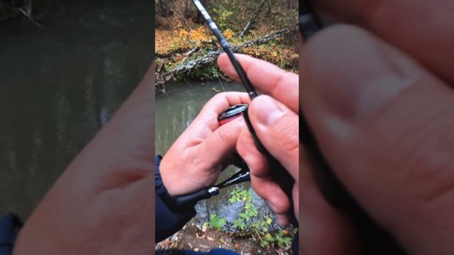 ❌НЕ ДАЛА ШАНСА🐊 смотреть онлайн