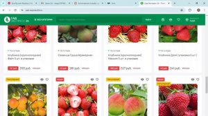 Сад Экспресс 24 (sad-express24.ru) — отзывы о магазине, развод покупателей