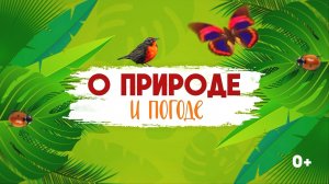 "О природе и погоде". Сквер ЧУЗ МСЧ