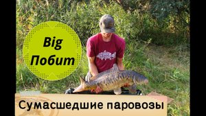 Пруд Балибардино. Побил свой рекорд. Сумасшедшие паровозы. Карпфишинг.